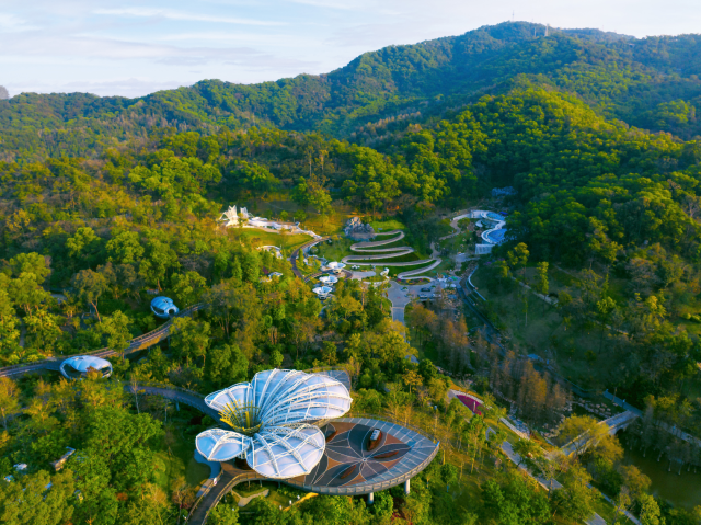 白云山上的云萝植物园 