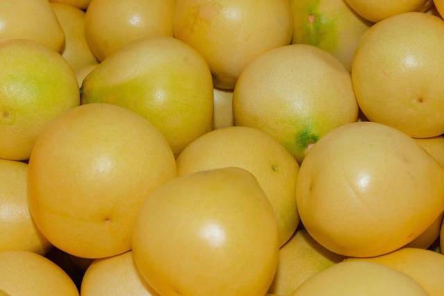 广东柚,梅州柚,品牌最响、销售最旺的富民柚!