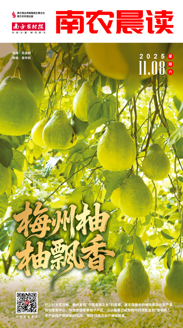 南方农村报 吴俊麒 制图