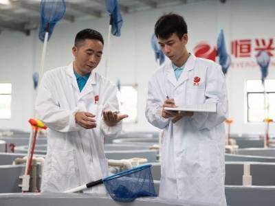 生态中生长、在创新中腾飞！解锁湛江的拼搏“剧本”