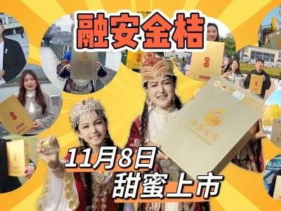 视频 | 融安金桔，11月8日甜蜜上市！