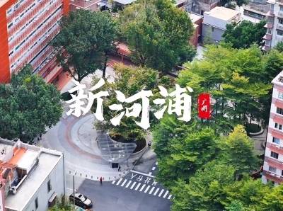 红了百年，新河浦的“流量密码”藏在这里｜由来是广州