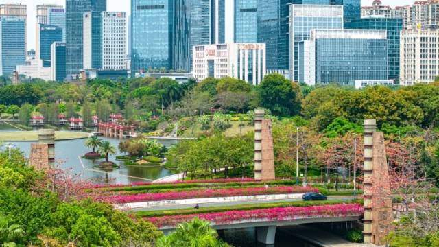 南海这一周｜广佛同城站C位，十五运会聚高光