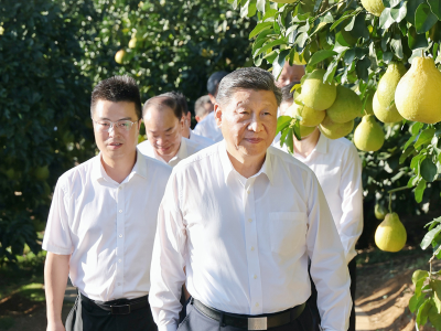 一见 · 柚子里的“三农”情怀