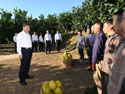 时政微观察丨广东之行，总书记强调两种精神