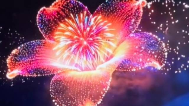 网友：最好看的木棉花作品！十五运会开幕式的电子烟花惊艳全网