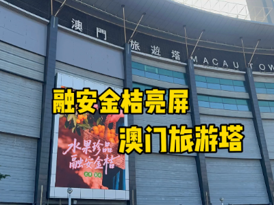 视频 | 融安金桔点亮澳门旅游塔