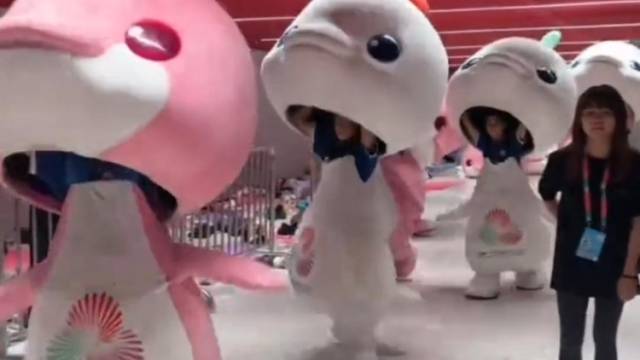 从“武术少年”到“国民萌宠”，真正的“萌”，是坚持与热爱的总和