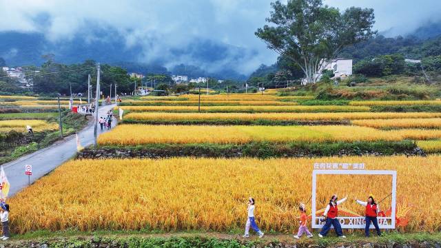 南方农村报 王富迪 拍摄