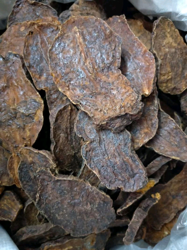 “四大南药”之一何首乌