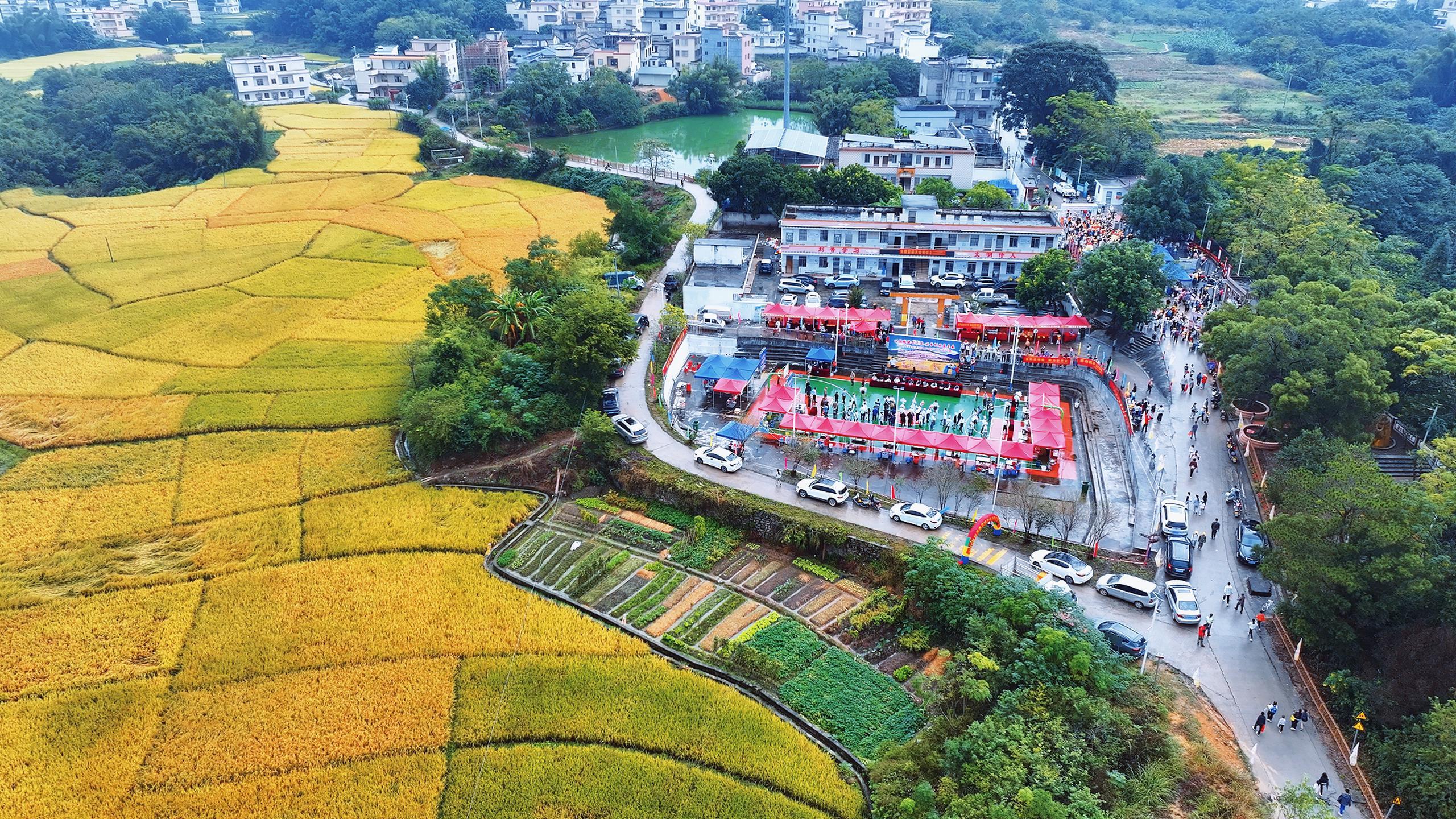 南方农村报 王富迪 拍摄