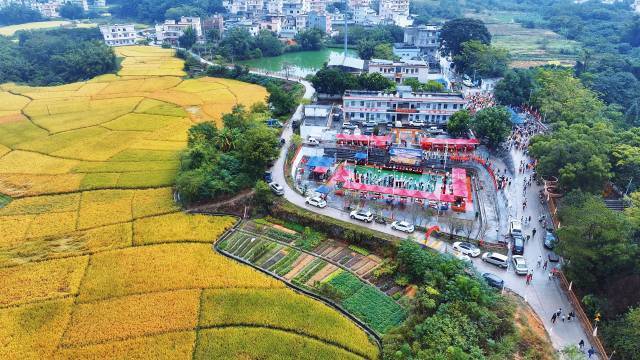 南方农村报 王富迪 拍摄