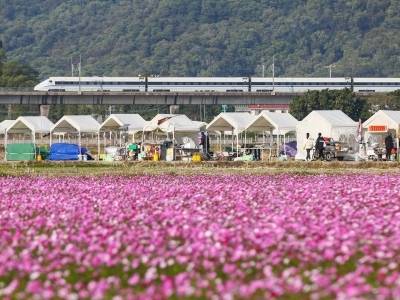 全省“三农”领域广大干部群众备感振奋、干劲十足： 以乡村全面振兴带动更多农民群众增收致富