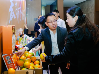 重庆奉节脐橙香飘广州，订货会上签约订单1.4万吨