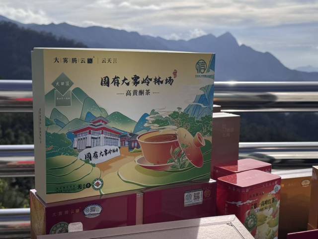 大雾岭林场高黄酮茶
