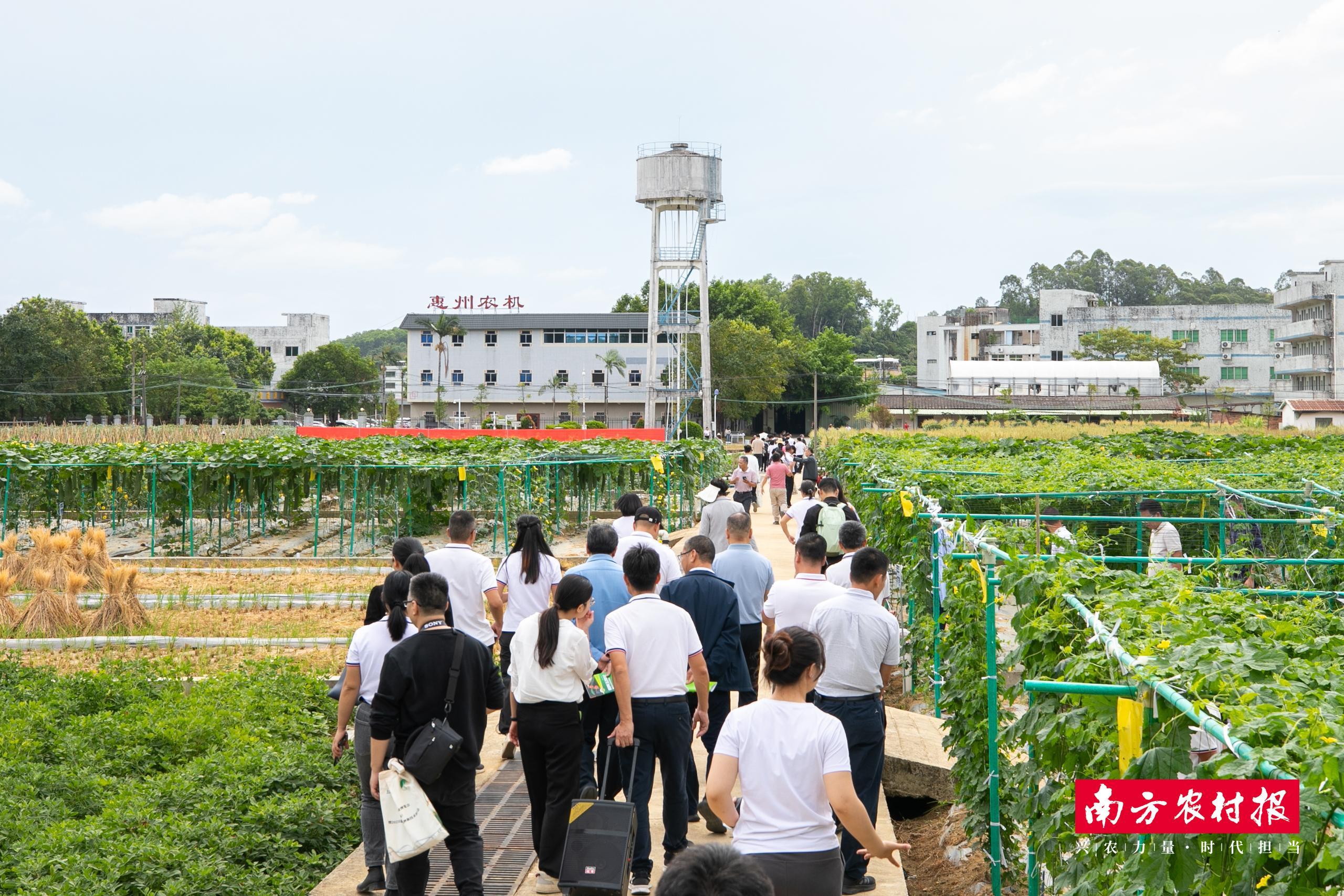 570+新品种亮相！广东种博会（惠州分会场）打造全产业链“示范田”