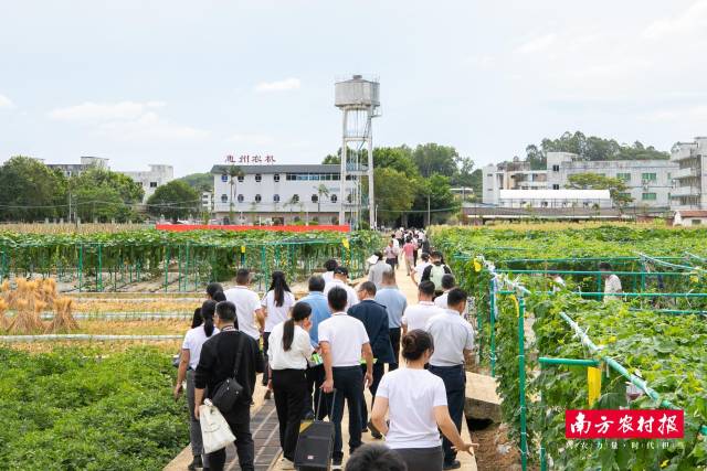 570+新品种亮相!广东种博会(惠州分会场)打造全产业链“示范田”