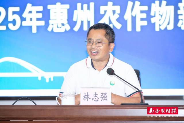 惠州市农业科学研究所副所长林志强