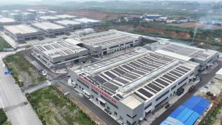 百色现代林业田阳区产业园