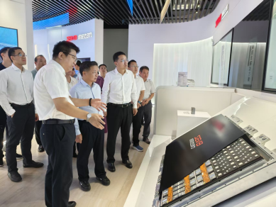 田阳区委书记黄国哲率队到深圳市欣旺达电子股份有限公司调研考察