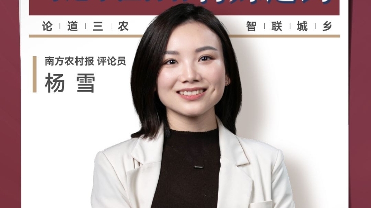 兴农评丨广东男篮今晚争冠，与这个渔村有特殊之约