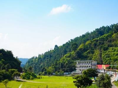 茶园不止产茶叶，村民变身合作人！紫金乡村创客这样盘活千亩茶田→