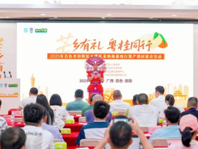 山海携手五载同心  光明田阳绘就乡村振兴新图景——2021-2025年粤桂协作助力田阳区消费帮扶增收做法