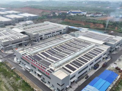 光明田阳五载同心 绘就乡村振兴新图景——2021-2025年粤桂协作推动田阳区林业产业高质量发展纪实