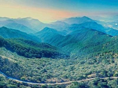 广州“森”呼吸｜百千万 广州范