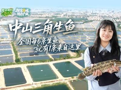 一条生鱼“游”出20亿产值，“中国生鱼之乡”如何做到的｜粤来粤好百千万