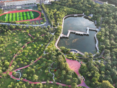 兴宁市合水镇：党建领航风帆劲，文化赋能“百千万工程”