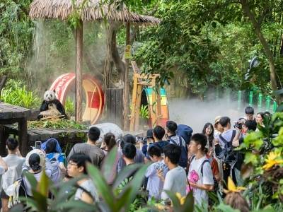 跟着全运游广东，一场消费“裂变”正在上演