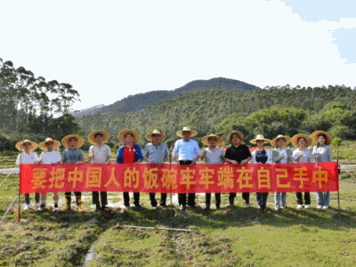 在阳西织篢，认养“一方田”，耕耘有“硒”望｜驻在千镇万村㉔