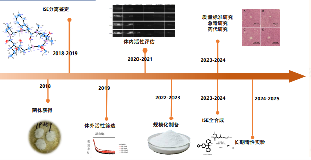 ISE的研发过程。 ISE的研发过程。