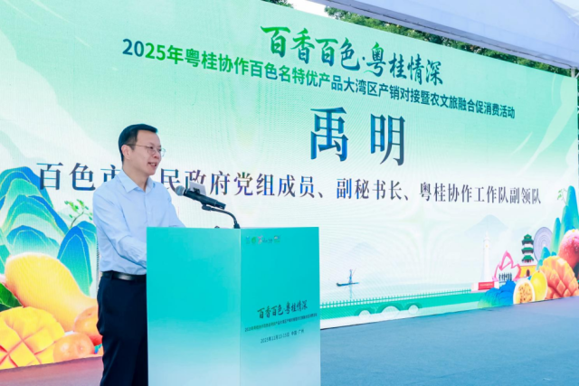 百色市人民政府党组成员、副秘书长、粤桂协作工作队副领队禹明致辞