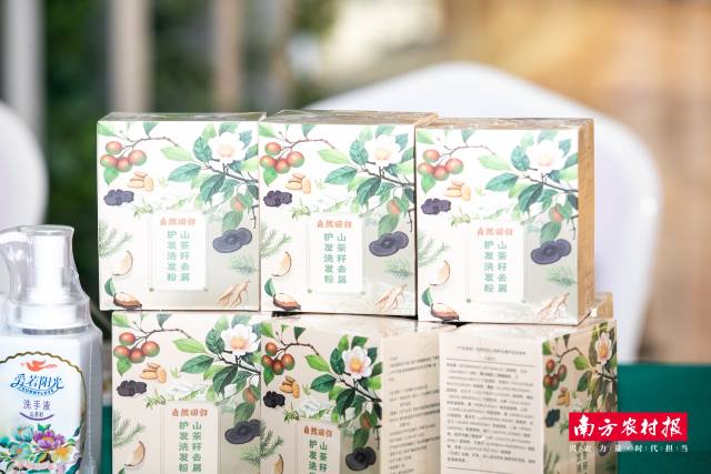 现场展示的河源山茶油产品。