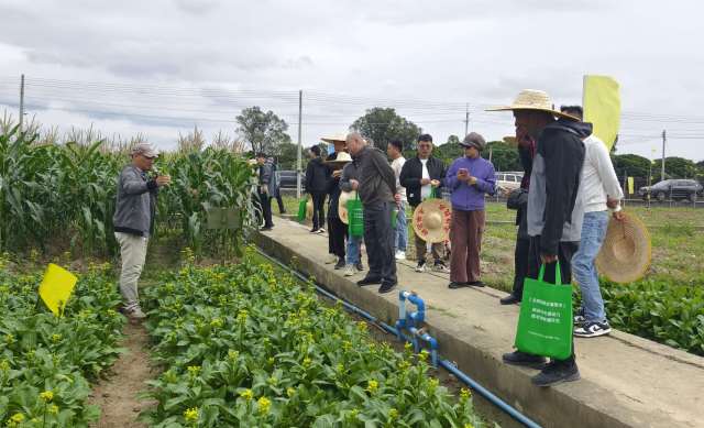 20余个主导品种亮相！从化这场田间培训以科技赋能农业发展