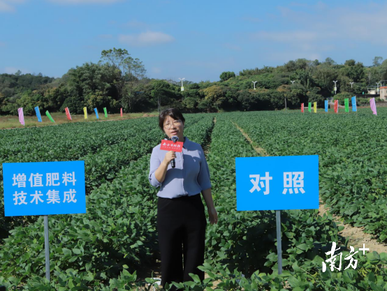 广东省农业科学院作物研究所大豆研究室副主任、索海翠研究员