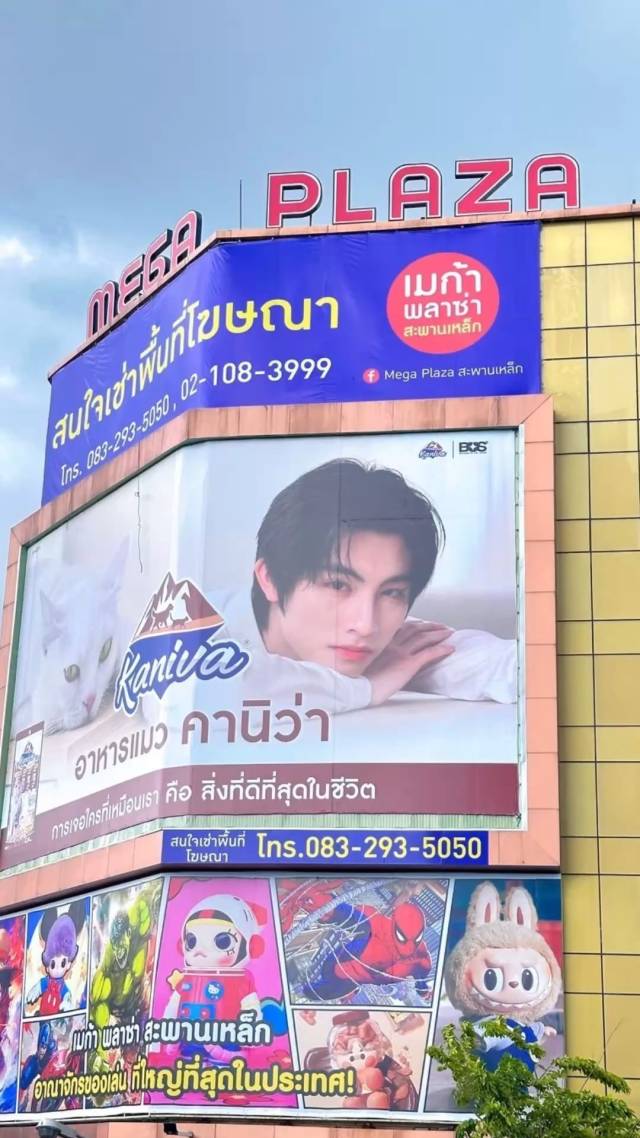 把泰拳变IP,与旅游局做朋友 | 出海新机