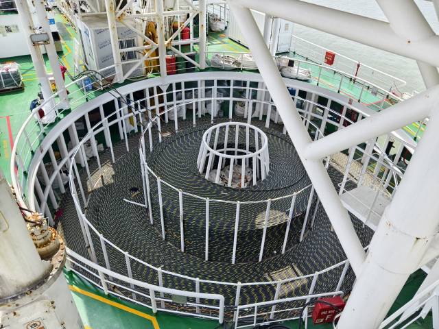 南方农村报 王富迪 拍摄