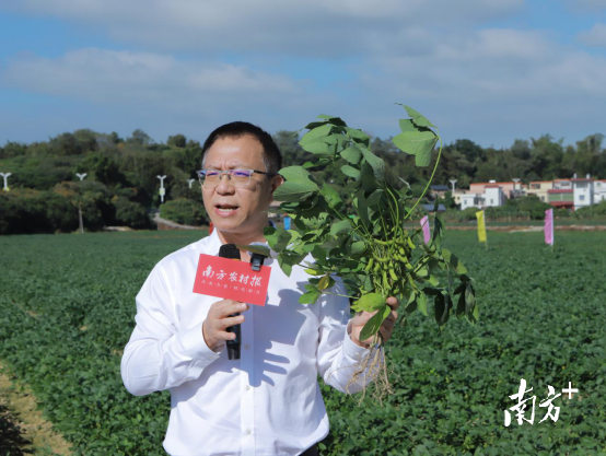 华中农业大学资源与环境学院副院长、石磊教授