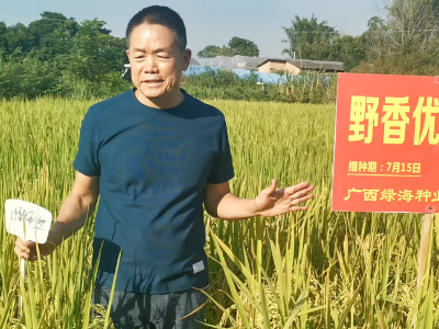 粤良种业董事长刘康平：俯身田间，种业强“芯” ｜港城企示录②