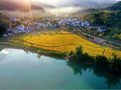 百千万，广州范！是一种什么范？