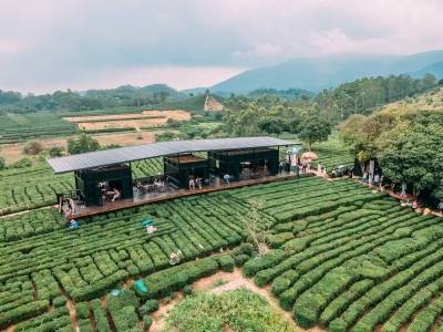 建设特色农业产业体系，博罗迎来省农科院科技“强支撑”