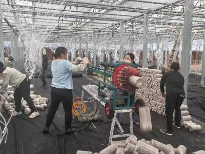 “冬闲田”变“增收园”，韶关浈江这个村“墨玉”生香