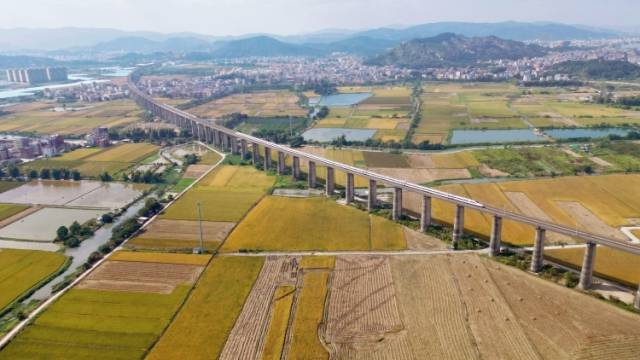 黄承伟：持续巩固拓展脱贫攻坚成果的政治意蕴与制度指向