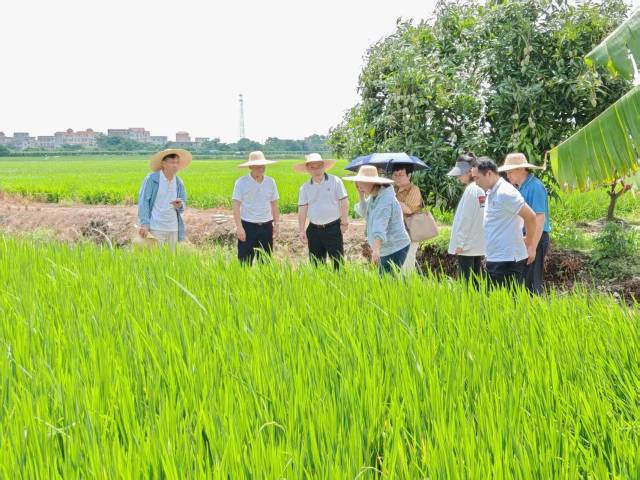 兰石镇工作队深入田间地头摸排农户发展需求
