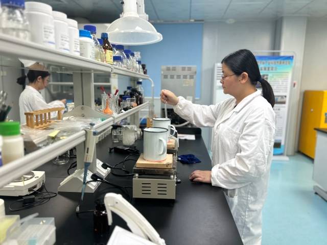 德庆仲恺农业产业研究院科研人员正在为批量产出巴戟天组培苗配培养基