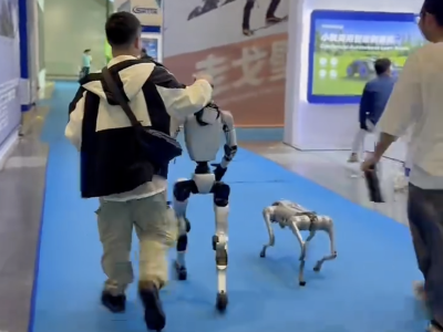 高交会12号馆“下班”，机器人和狗都跑得飞快