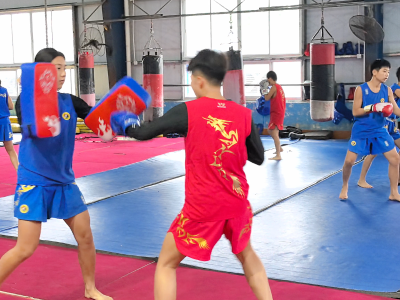 武术为魂，赛事为桥！湛江散打，“打”出城市魅力